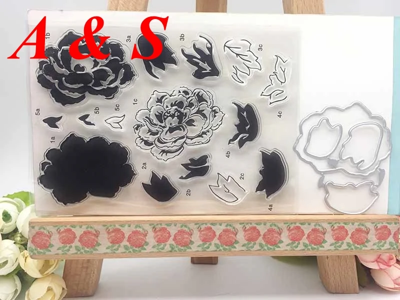 KC21 (2)