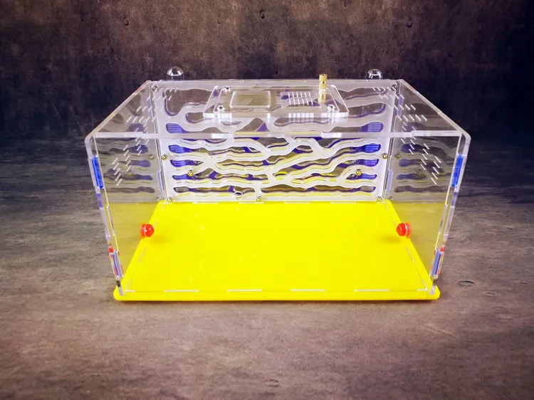 Ant-Nest-D2-Ants-Farm (4)
