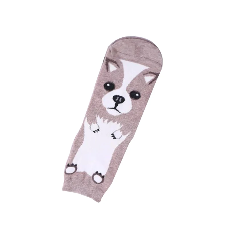 4528626541_297019652