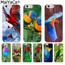 coque iphone 6 bird coque iphone 6 bird