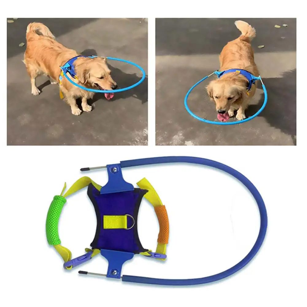 New arrival Blind Pet Anti-collision Ring Scorpion Cataract Animal Protection Circle Dog Harness dog leash for Chihuahua pet dog