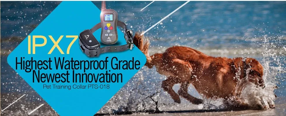 Waterproof_Dog_Training_Collar