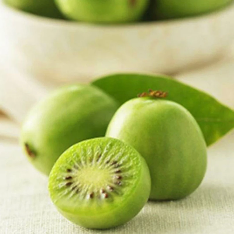 

ZLKING 100PCS Mini Funny Finger Kiwi Fresh Fruit Tree Perennial Natural Rare Organic Plant Decoration Garden