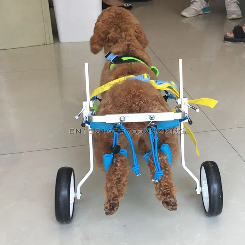 Ходьба на колесиках для собак, детская коляска для реабилитационного обучения, поддержка инвалидных колясок, регулируемый вспомогательный тренажер для прогулок для собак
