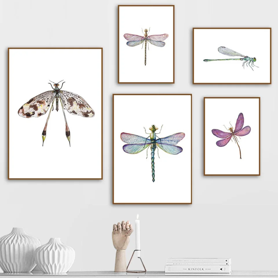 Moth Butterfly Like Bugs in Watercolor Print Modern Minimalist Design Art Print Background for Party Home Decor Outdoorsy Theme Vinyl Shoot Props Multicolor Dragonfly 8x10 FT Photography Backdrop Moth Butterfly Like Bugs in Watercolor Print Modern Minimalist Design Art Print Background for Party Home Decor Outdoorsy Theme Vinyl Shoot Props Multicolor Dragonfly 8x10 FT Photography Backdrop
