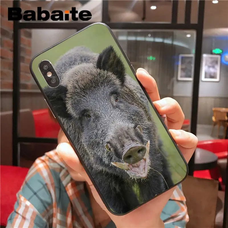 Wild Boar pig animal