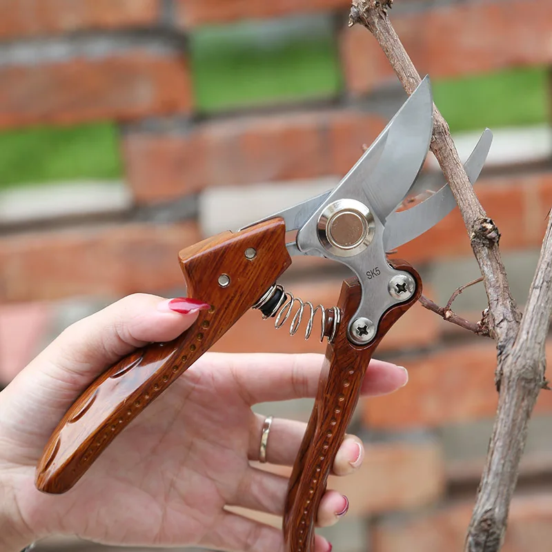 Garden Tools Convenient Telescopic Spring Type Potted Pruning Shears Safe Labor-Saving Metal Scissors To Send Friends Neighbors Garden Tools Convenient Telescopic Spring Type Potted Pruning Shears Safe Labor-Saving Metal Scissors To Send Friends Neighbors