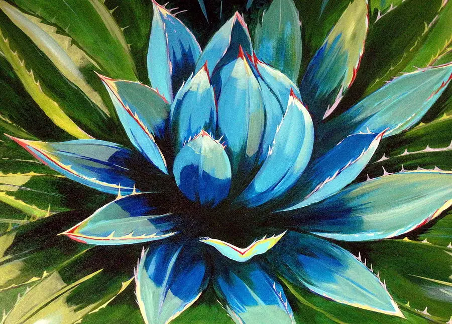 Online kopen Wholesale agave planten uit China agave