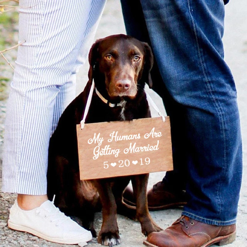На заказ собака Дата свадебное оформление виниловая декоративная наклейка, мои люди женятся наклейки Pet Свадебные аксессуары украшения