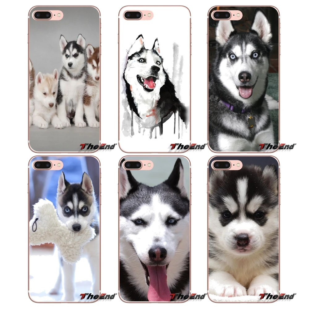 

funny Husky Dog Accessories Phone Shell Cases For Huawei G7 G8 P7 P8 P9 Lite Honor 4C 5X 5C 6X Mate 7 8 9 Y3 Y5 Y6 II 2 Pro 2017