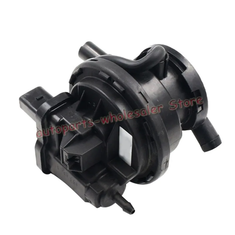 Audi Car Tank leak detection pump