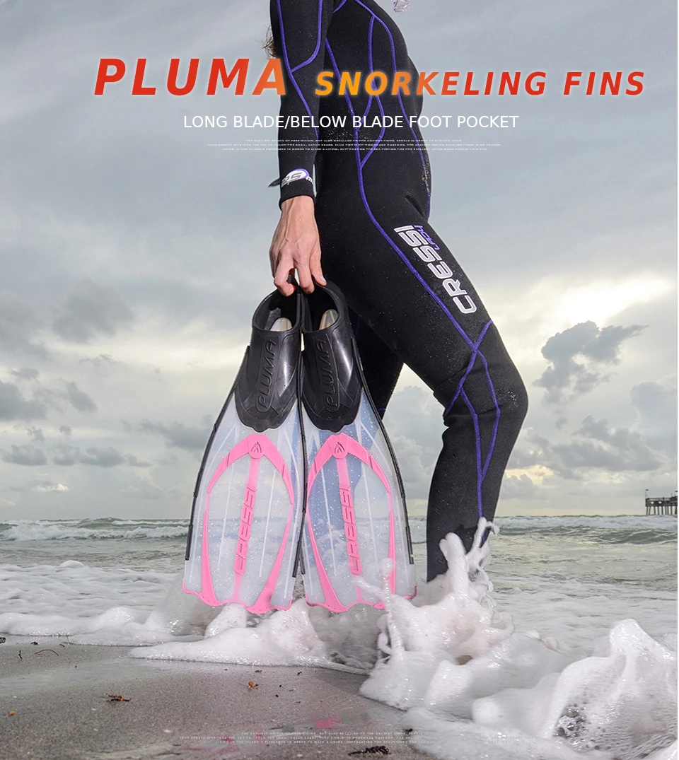 PLUMA_DES (1)