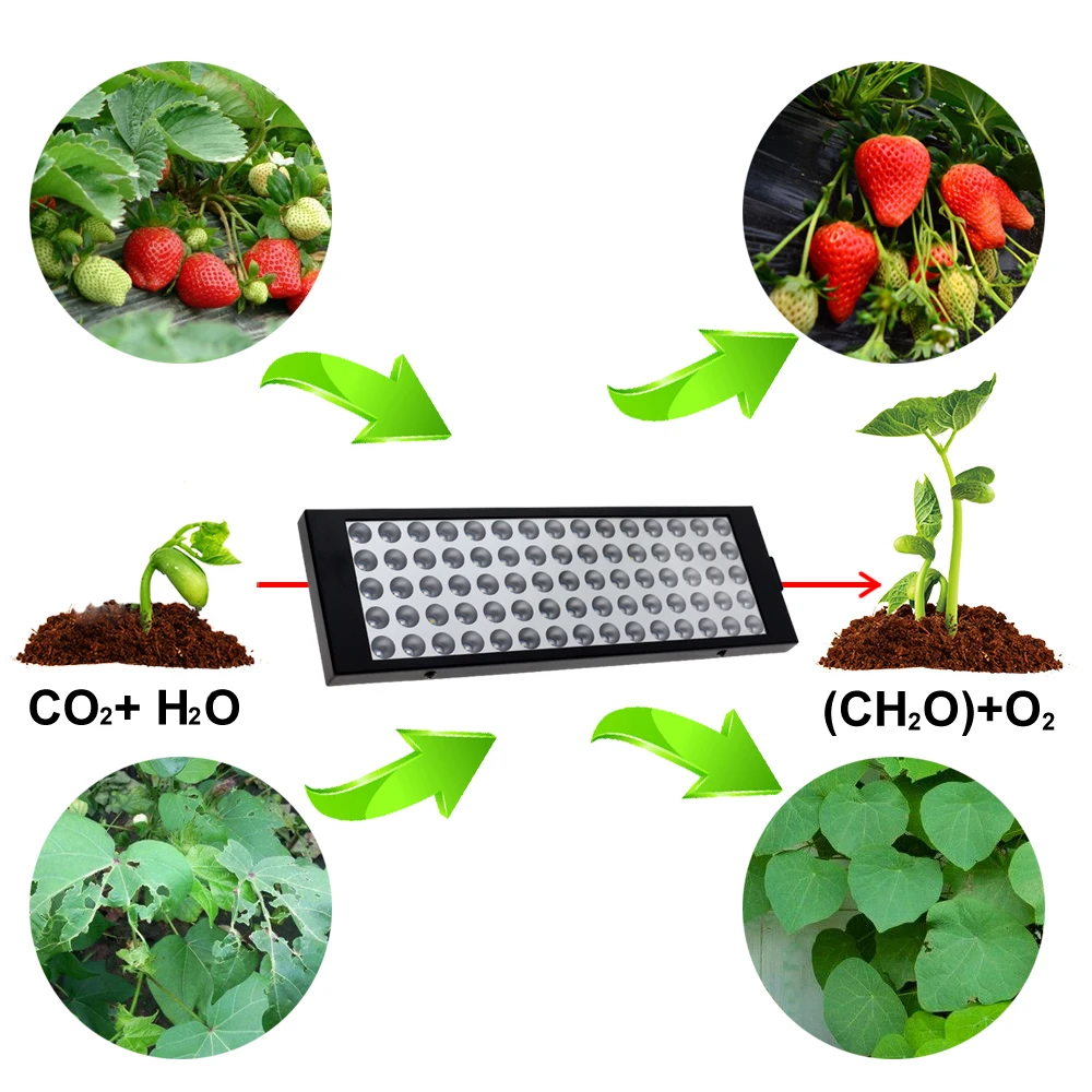  LED Plant Grow Lights SMD2835 Red+Blue+UV+IR Full Spectrum LED Grow Lamps for Garden Flowering Hydr - 32917108875