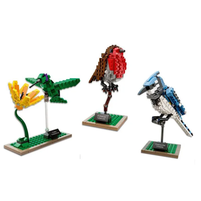 

Idea Series Bird Collection 21301 Blue Jay/Hummingbird/Robin Building Blocks 605pcs Bricks Toys Compatible With Legoings