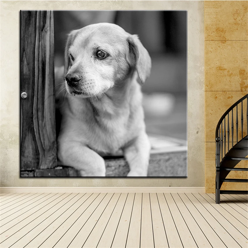 Large size Printing Oil Painting Black and white dog Wall painting POP