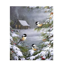 Зимние птицы ручной работы краски высокое качество холст красивые краски ing по номерам Сюрприз подарок большое свершение
