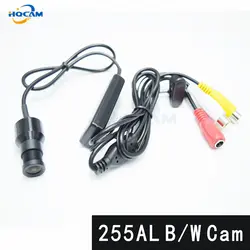 Hqcam b/w Камера чип ультра низкой освещенности SONY CCD 2090 + 255al машины видения без шума черный и белый Мини Камера мини Булле