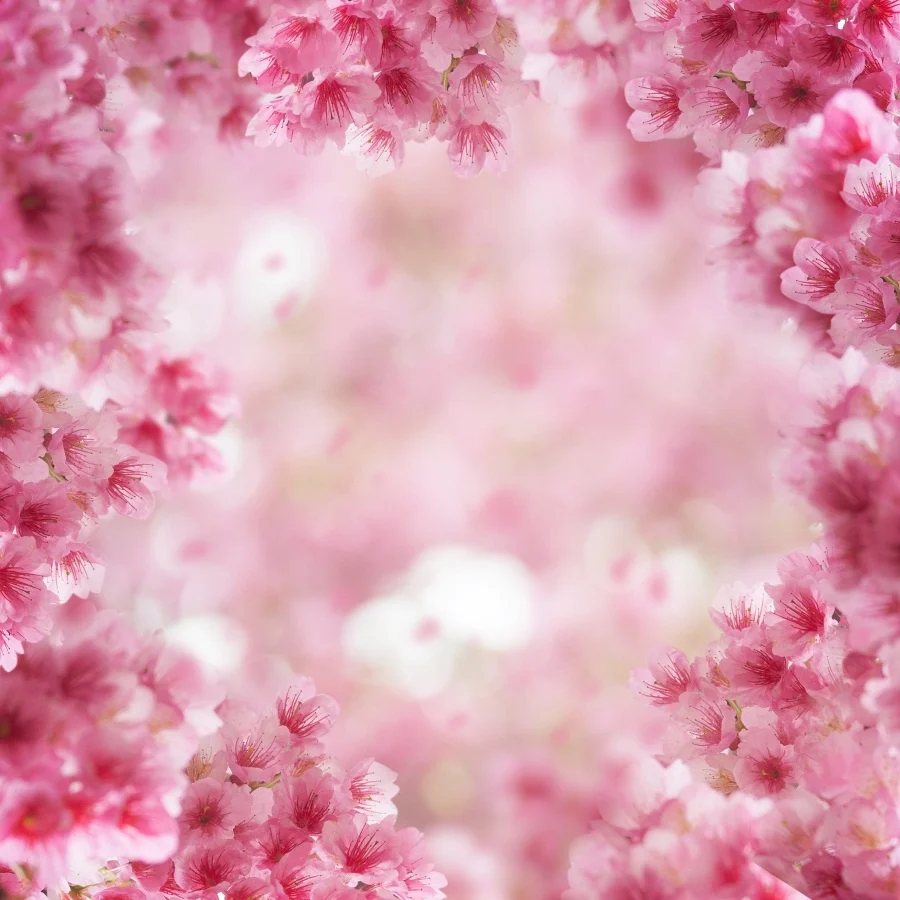 

Laeacco Baby Newborn Spring Flowers Polka Dot Light Bokeh Party Portrait Photo Background Photographic Backdrop For Photo Studio