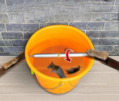 Mouse Trap Bucket Mice Rats Roller Trap Bucket Mousetrap Catcher for Indoor  Outdoor - AliExpress