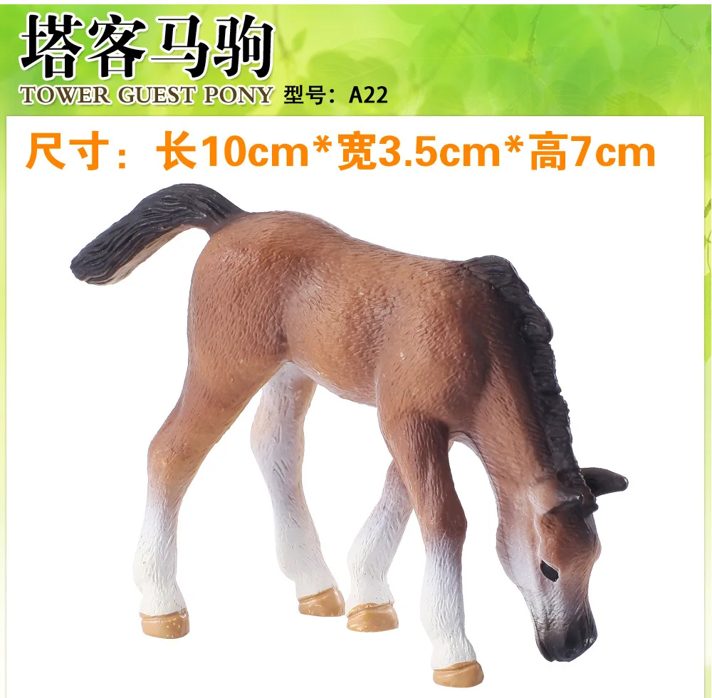 3993089512_1085278937