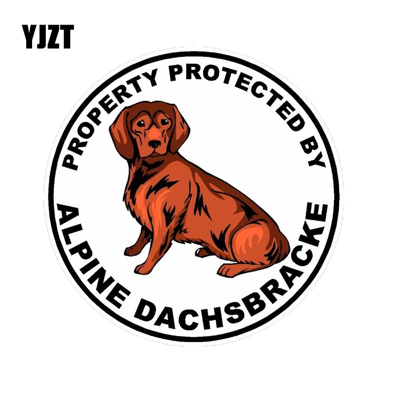YJZT 14*14CM Property Protected By Alpine Dachsbracke Dog Car Decoration PVC Sticker Decal C1-4615 | Автомобили и мотоциклы