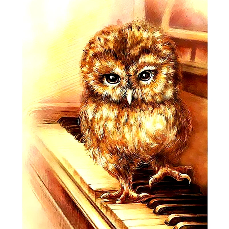 Diy 5D Animal Full Round Diamond Painting Cross Stitch Cute Owl Embroidery Rhinestone Handwork Home Decor Gift | Дом и сад