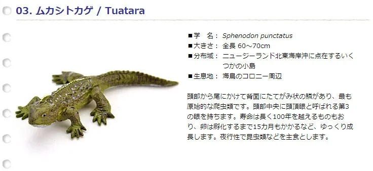 Pvc Figures Animal Model Simulation Toys Wild Reptile Lizard Crocodile Guiyi 8pcs Set Animal Model Figure Animalstoy Animal Set Aliexpress Pvc Figures Animal Model Simulation Toys Wild Reptile Lizard Crocodile Guiyi 8pcs Set Animal Model Figure Animalstoy Animal Set Aliexpress