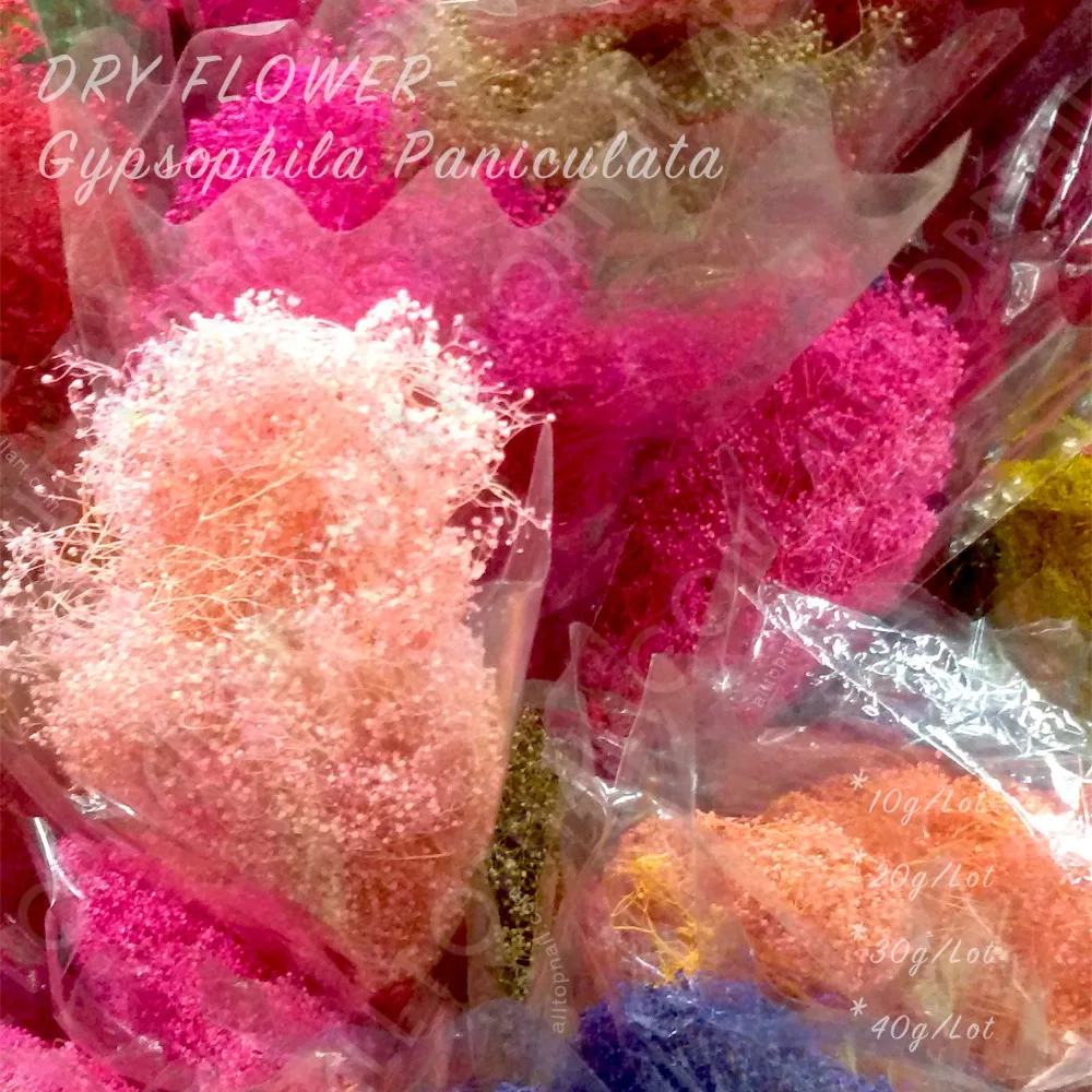 50g Dried Flowers Professional Gypsophila Paniculata Dye Dry Flower DIY