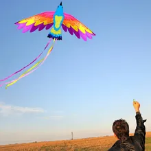 180*90 см цветной Однолинейный воздушный змей "Феникс" для детей и взрослых, семейный пляжный Летающий воздушный змей с веревкой и ручкой, летающий воздушный змей