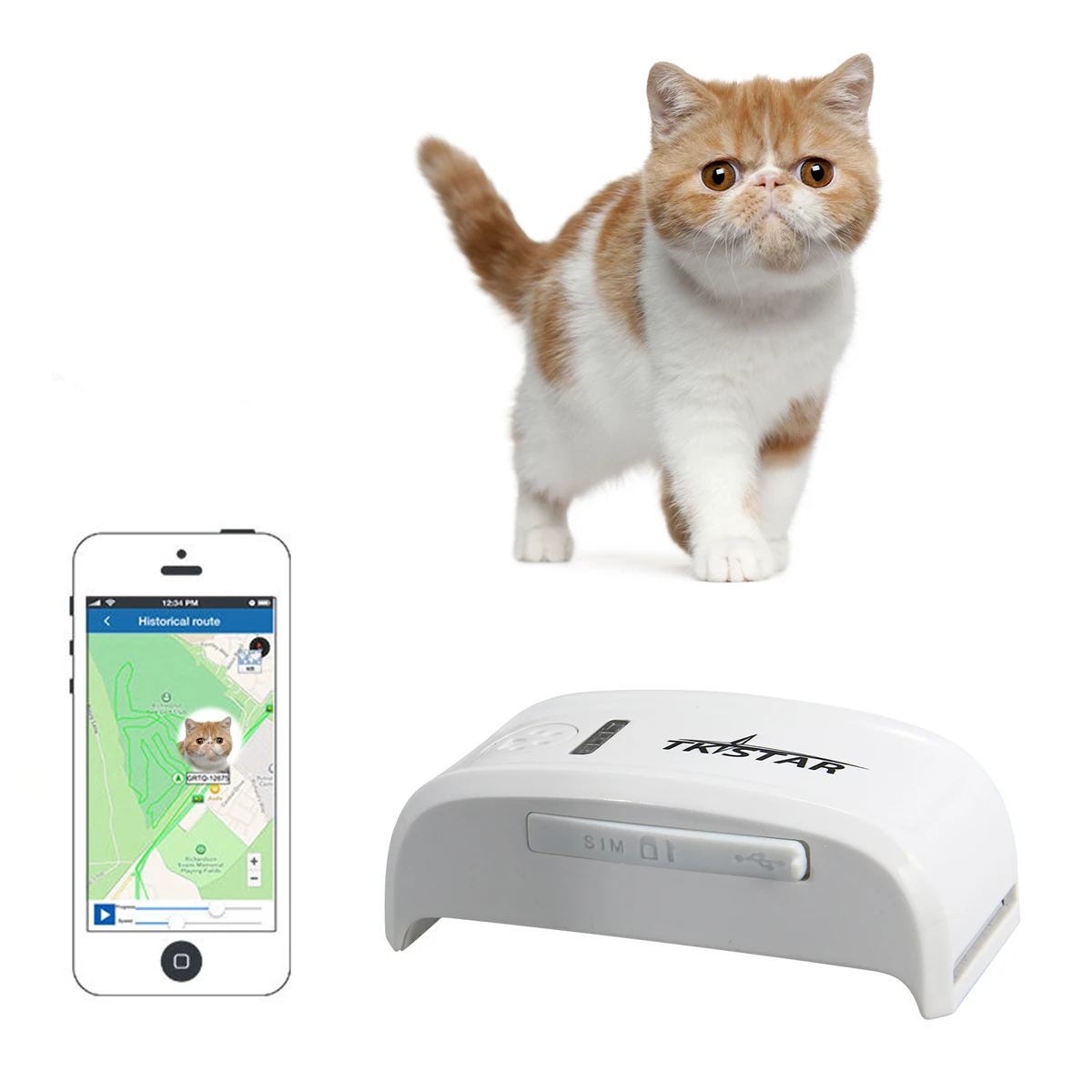 Tabcat cat tracker. Джипиэс трекер на ошейник для собаки. Ошейник с gps трекером. Маячок для животных. Мини жпс трекер для собак.
