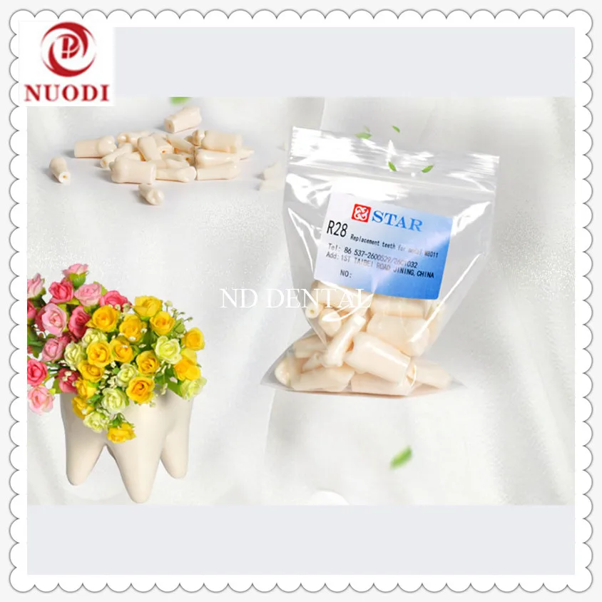 

Prepare Practice Replaceable tooth for teeth model/Refill tooth for dental model/dental exercise tooth/Dental Study tooth