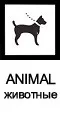 animal1