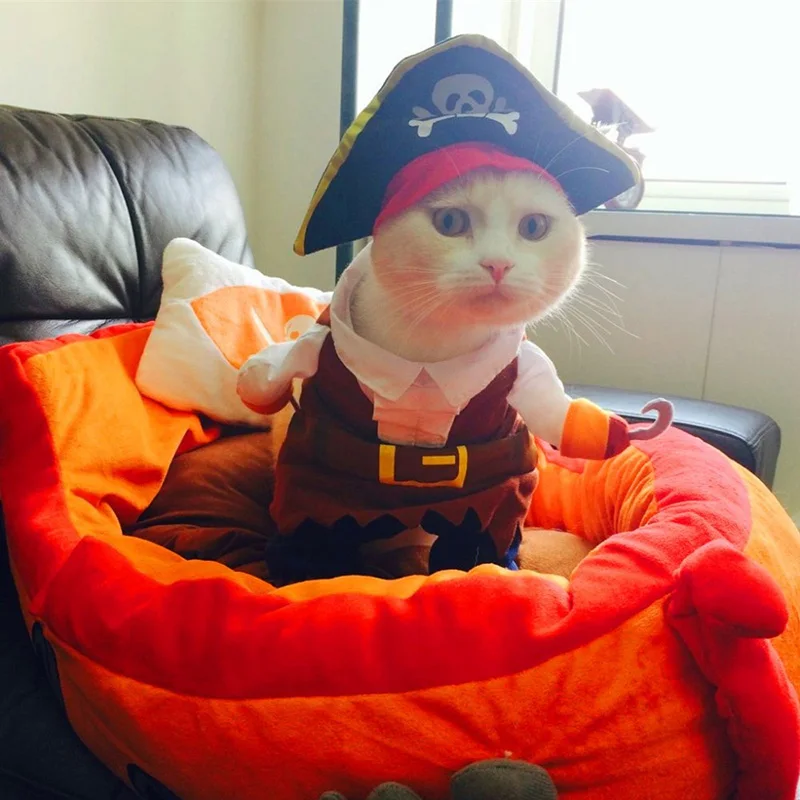 Смешные костюмы с котами пиратский костюм Одежда для кошек котенок Корсар на