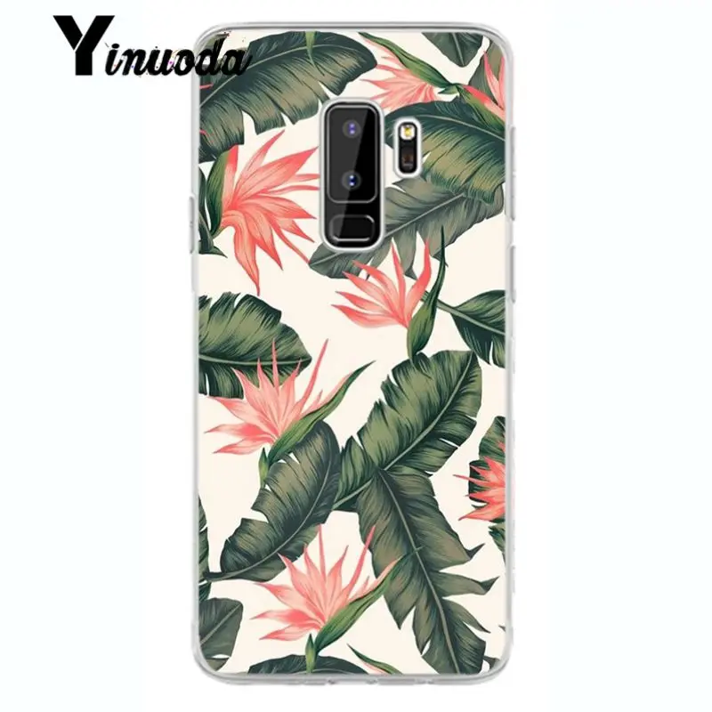 Flower Cherry Tree Candy Colors Leaves 