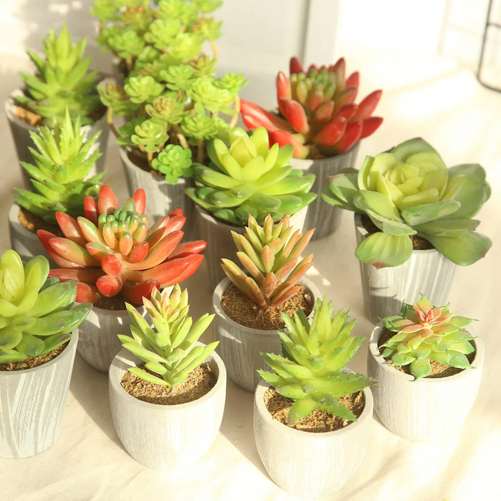 Simulated Succulent Plants DIY Artificial Bonsai Fleshy Simulated Succulent Plants DIY Artificial Bonsai Fleshy