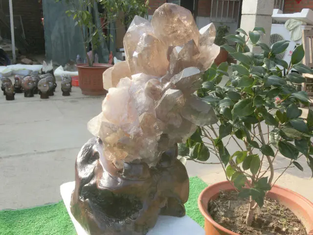 CIMG5242