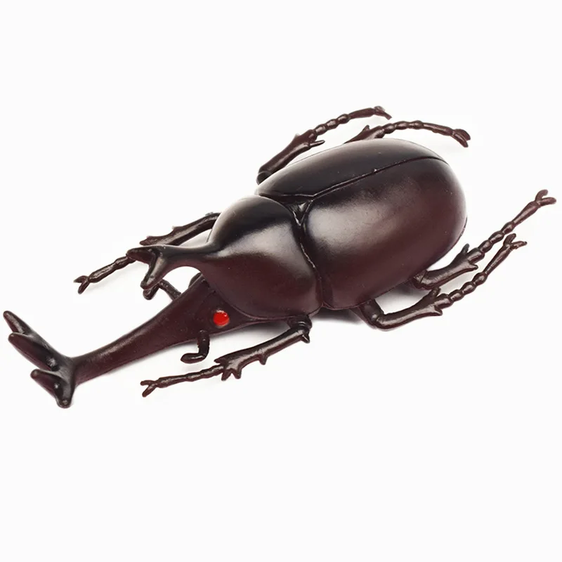 6 style 13cm simulation beetle toys special lifelike model simulation insect toy nursery teaching aids joke toys joke toys