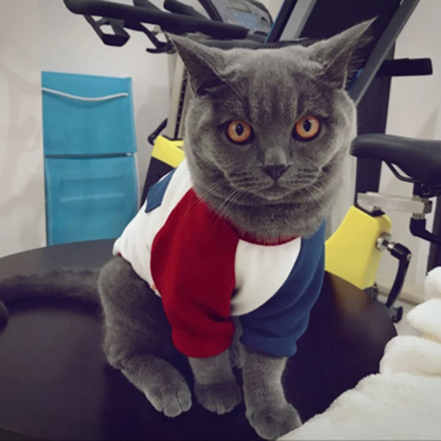 Одежда для кошек одежда с котенком Рождественская весенне-летние модные худи