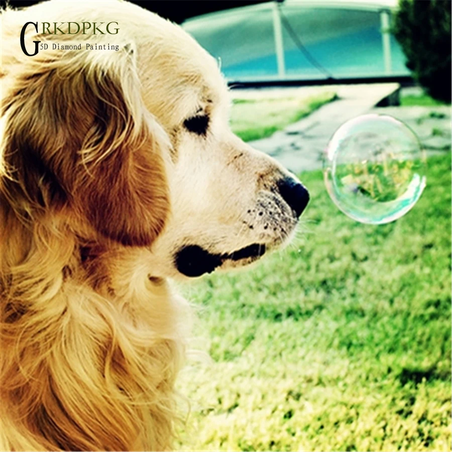 

Diamond Mosaic Special Shaped Diamond Painting Cross Stitch Paris dog bubble 5D Diy Home Decoration Painting Wedding decoration