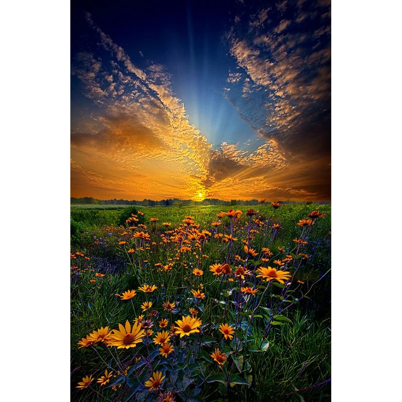 5D-DIY-Diamond-Painting-Landscape-Full-Diamond-Embroidery-Flower-Sunset-Waterfall-Tulip-Square-Diamond-Mosaic-Paste
