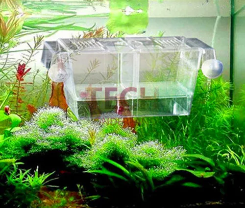 Аквариум Betta для рыб аквариум прочные коробки разведения двойное искусство