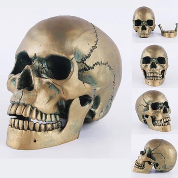 

Statues Africa Home Decor Skull For Decoration Resin Animal Human Bronze Skull Separate jaw Skeleton Abstract Sculptures Carving