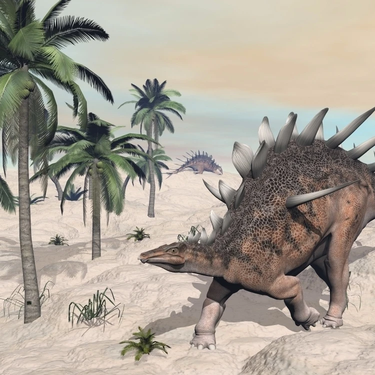 Kentrosaurus dinosaurs walking in the desert among palm trees Poster Print (16 x 12)