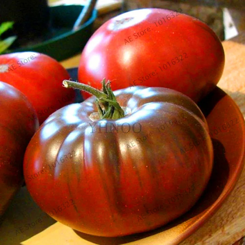 

New Fresh 100 Piecess - rare fresh "Black Prince" tomato Bonsai - 100% organic and non - GMO Plants fruits vegetable