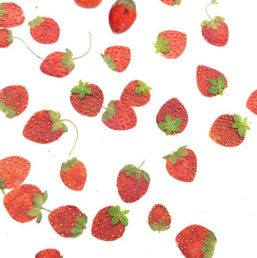 

10pcs Dried Pressed Mini Fruit Strawberry Skin Slices Plant Herbarium For Jewelry Photo Frame Phone Case Bookmark Making DIY