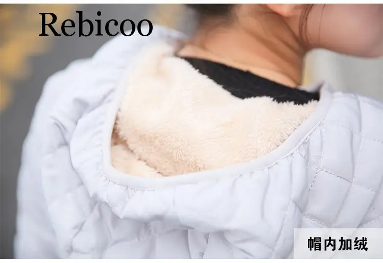 Autumn 2019 New  basic jackets Female Women Winter plus velvet lamb hooded Coats Cotton Winter Jacket Womens Outwear coat