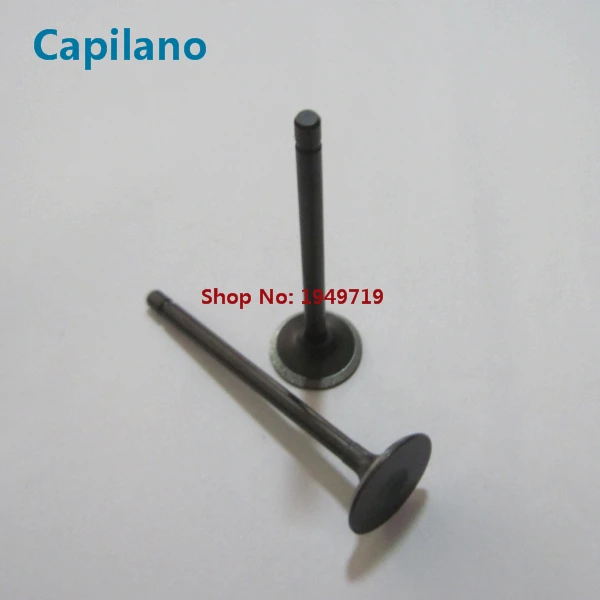 AN125 engine valve (4)