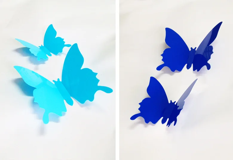 2231739863_772418885