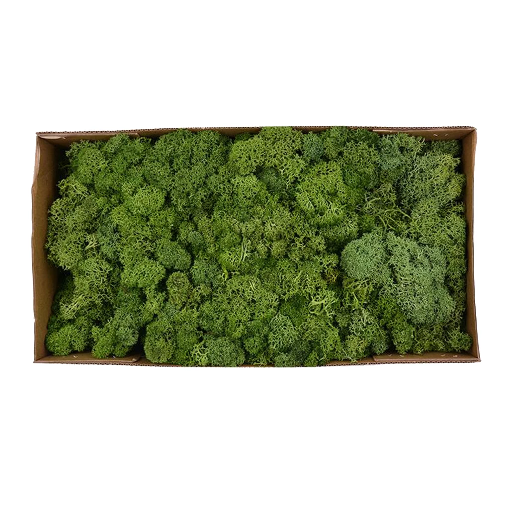 Colorful Artificial Moss Plant DIY Dried Reindeer Moss Floral Crafts Flowers for Plant Pot Garden Home Wedding Decor