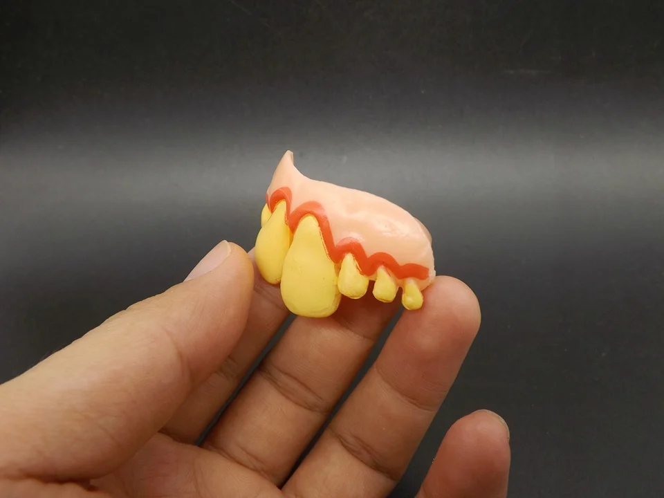 J191-Teeth (2)